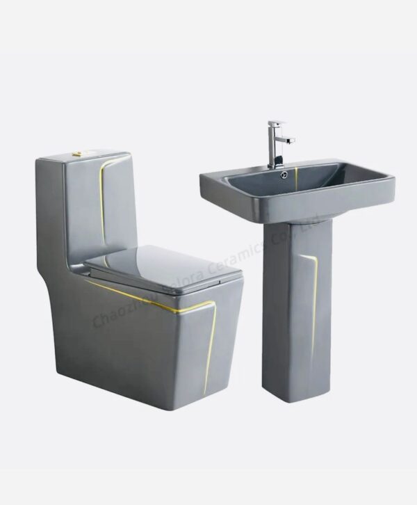 PHOTO-2025-06-23-18-15-31 2 Chaise anglaise avec lavabo intégré