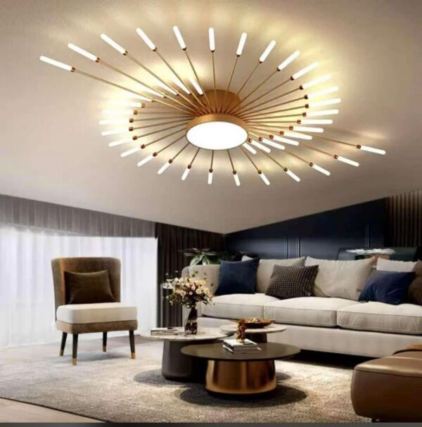 f2ec041b-8a02-419a-a4f2-ecd6b515e011 Lumiere Plafond